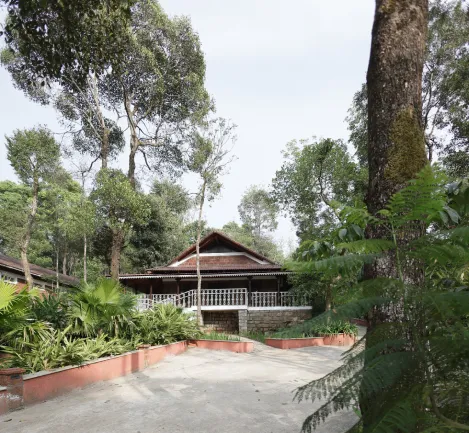 Vibez Resorts